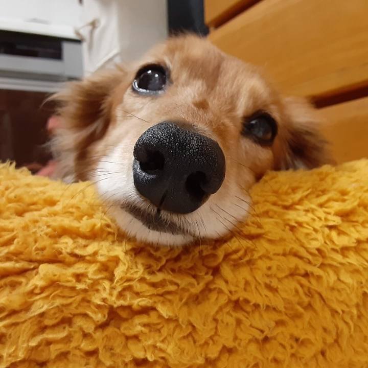 443da076 4c8d 45cc ab19 b2e78693b8c9 1622035424802