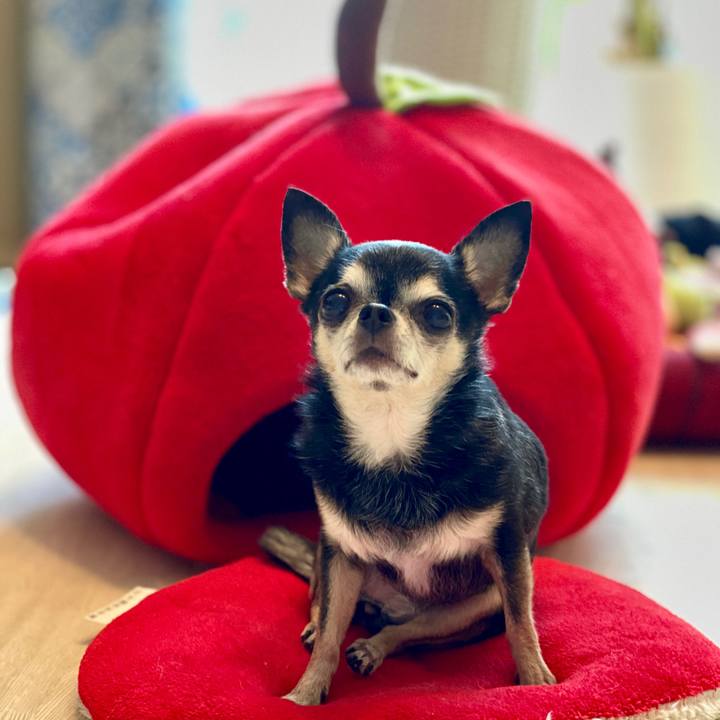 443dcf08 0cbc 496b b7a7 bdd33bd259f4 1772700701895