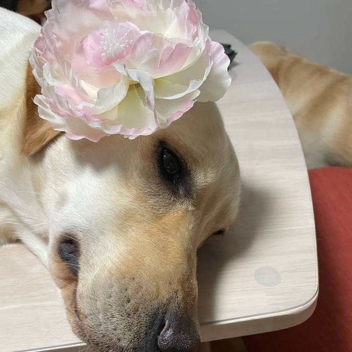 443dd07e 60fd 47f5 95a3 8008bb3c5d3d 1656675078233