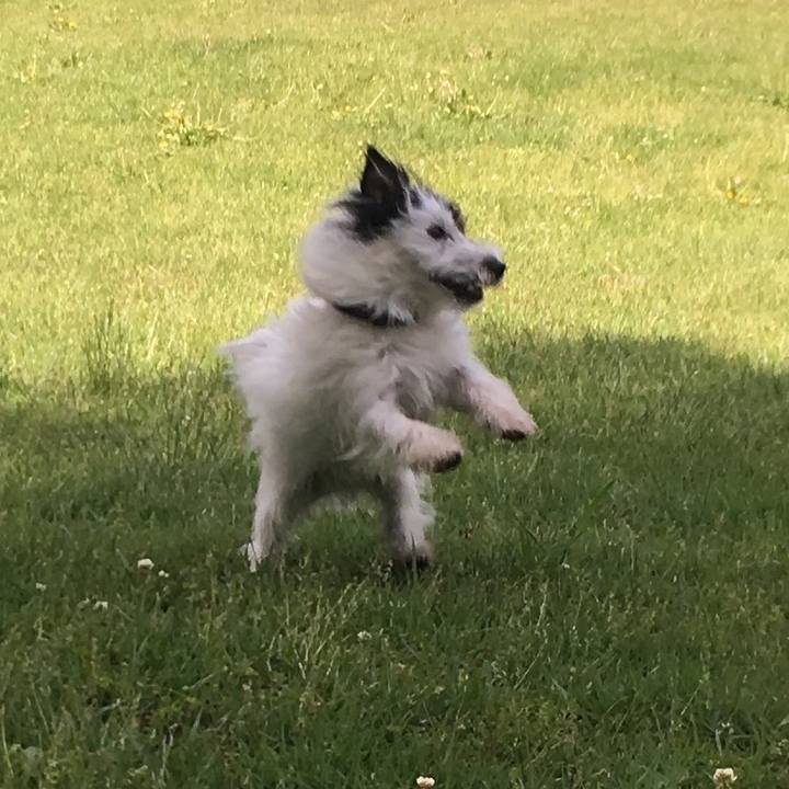 443e25e5 6740 4611 ba52 21d703d92327 1526941389663