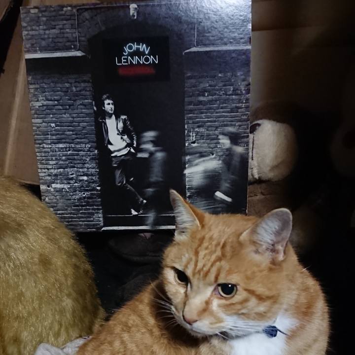 443e45e6 a519 4909 93eb fd4456ad7df4 1607421910474