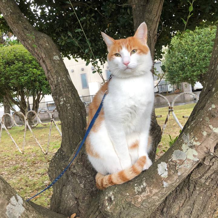 443e5077 d2a2 450d 8b70 53a20556d980 1540957279725