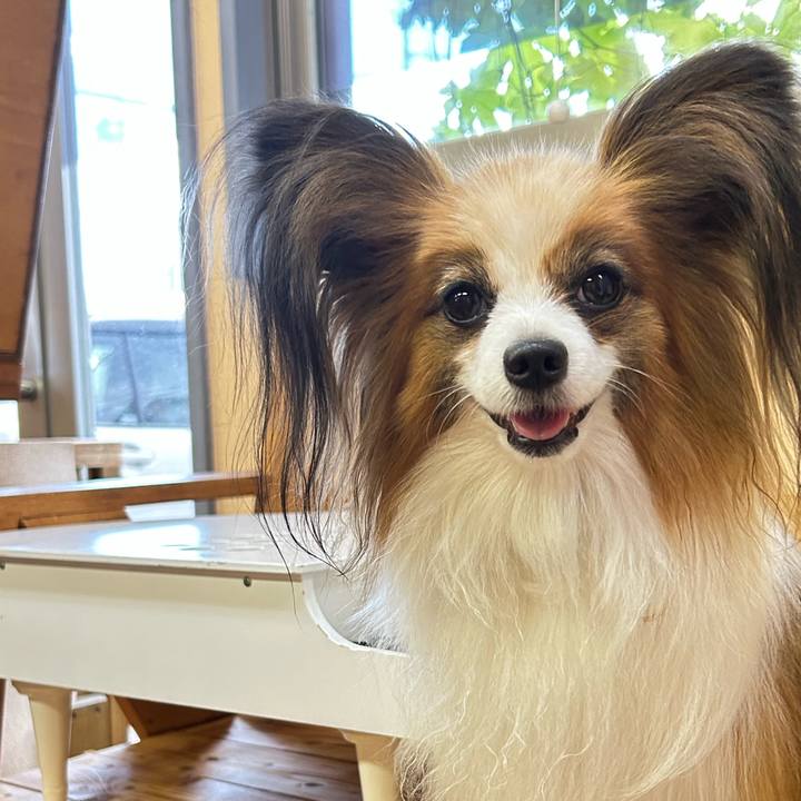 443e600e 396b 483a b2a5 55e079a4817d 1756436646496