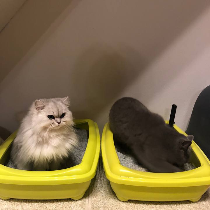 443e7daa d6ca 4d93 823b e7dacd7500ed 1579912476238