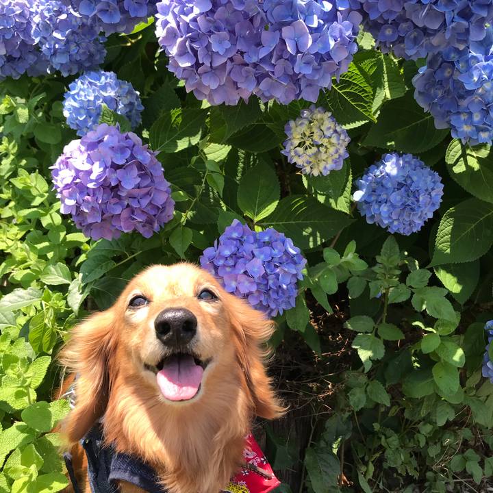 443e946e 287c 4045 aa44 2687cb30ad2b 1591507192169