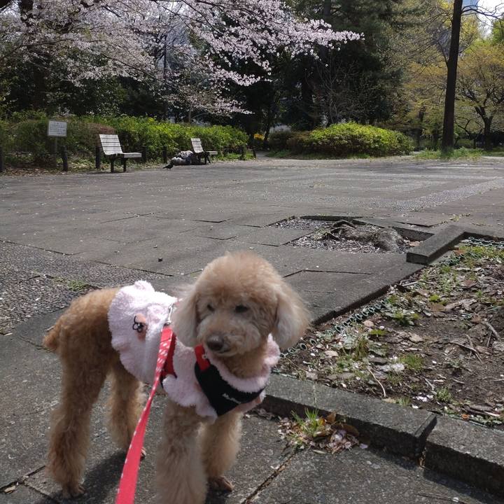 443ee20b 7c83 4912 917e 706ff39560f2 1648892512932