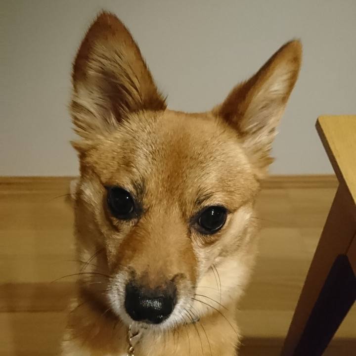 443f13cb 55f8 4b73 9020 c43230f1a949 1533382883485