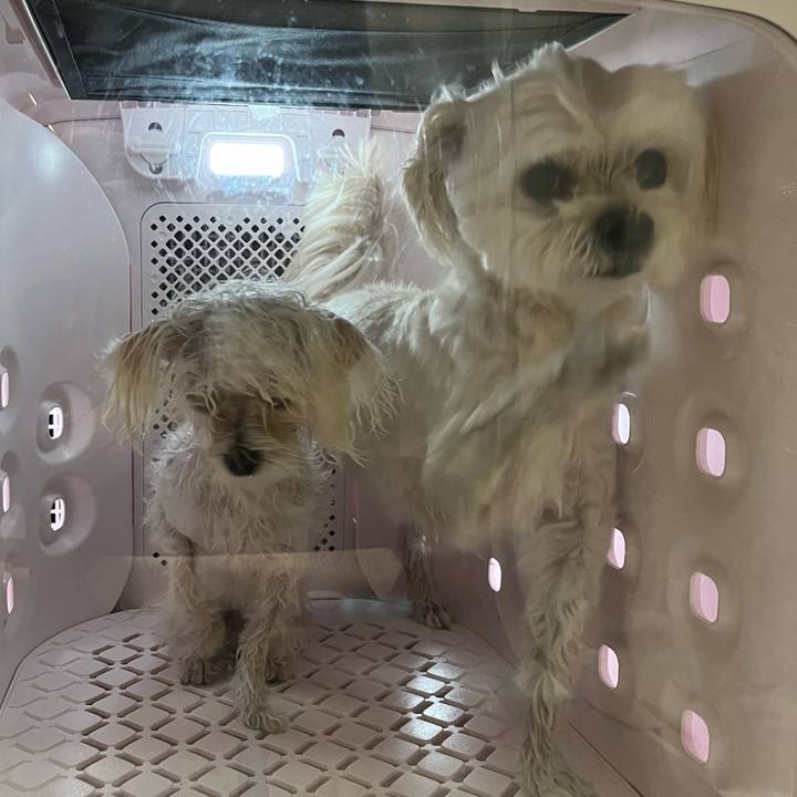 443f154e 60d6 4f91 9b2a e1661d2b179a 1724592453358