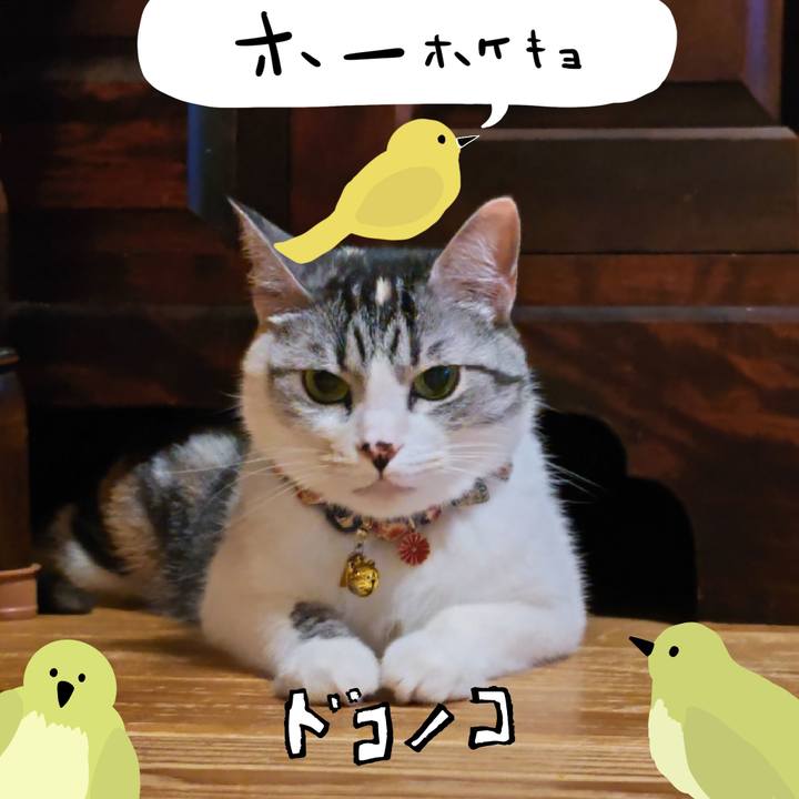 443f1d74 6f6d 4879 9c9d 55e0b09310da 1711094885072
