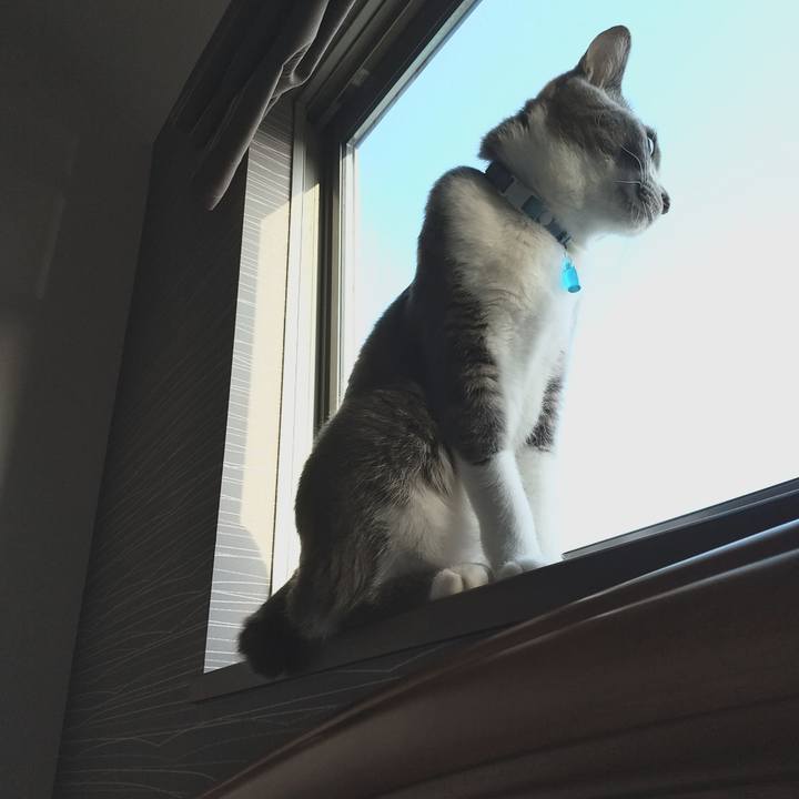 443f4050 1670 49d5 b196 ad2bf1260a64 1618705245857