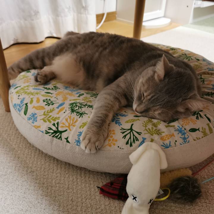 443f45be f24f 459a 8911 de216df61d6a 1657346856574