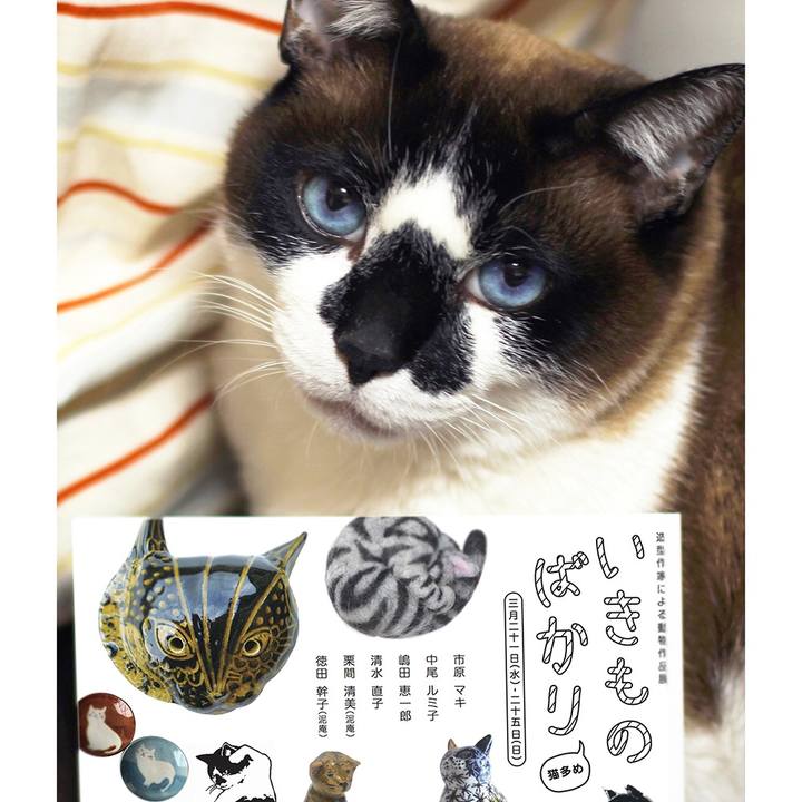 443f5302 d968 42c7 9971 af4f96d2bcaf 1521857280387