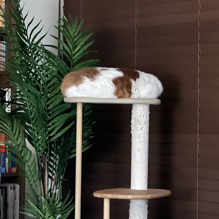 443f5f91 ea36 4315 9017 d86b7b2d2d65 1771326369733