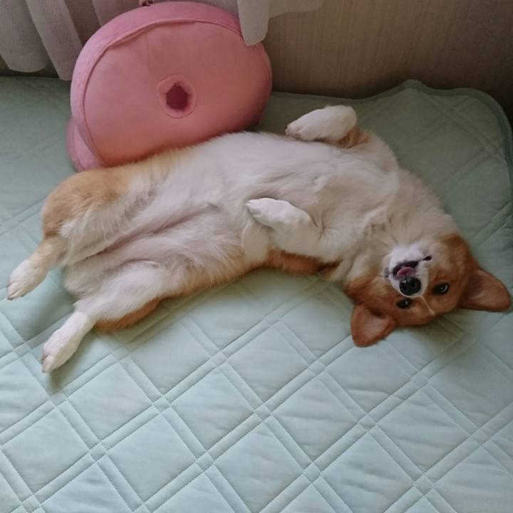 443f7071 bbd8 4903 9ada 90ba9f629025 1536112871015