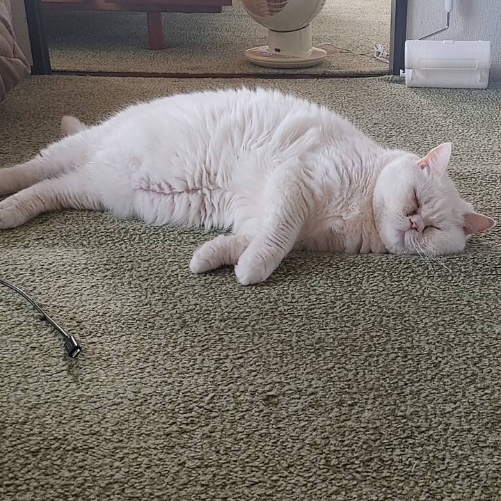 443f9097 437e 41db a7bd 5ddbe9eecfb9 1751784377476