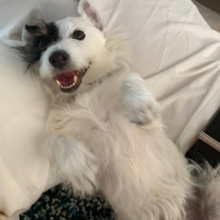 443fdaba 8d8f 45e3 ae6f 3ef603144e27 1593158271539