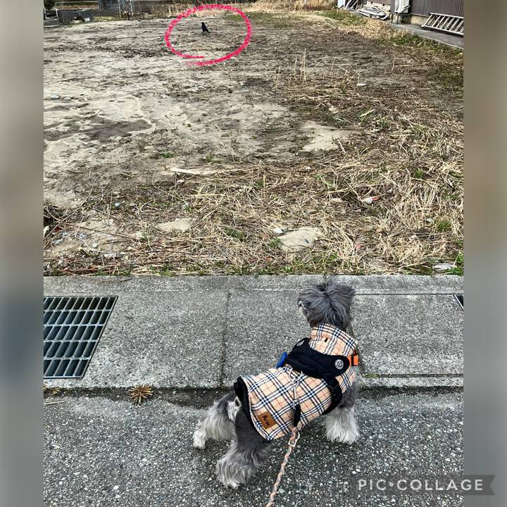 443fe9a4 b60e 41fa 9f64 ddb400c21471 1774302243996