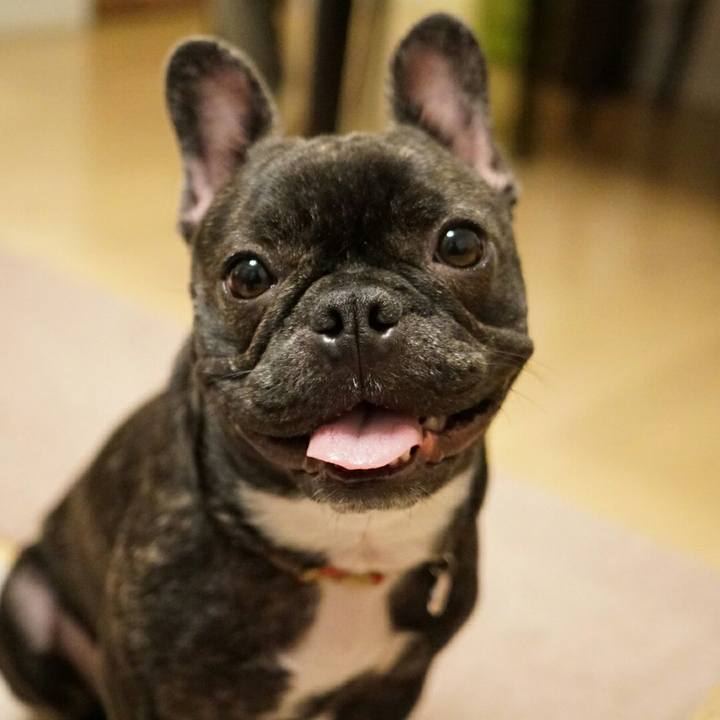 443ff1a7 7925 4b04 8f9c 86ceb962929b 1512047082054