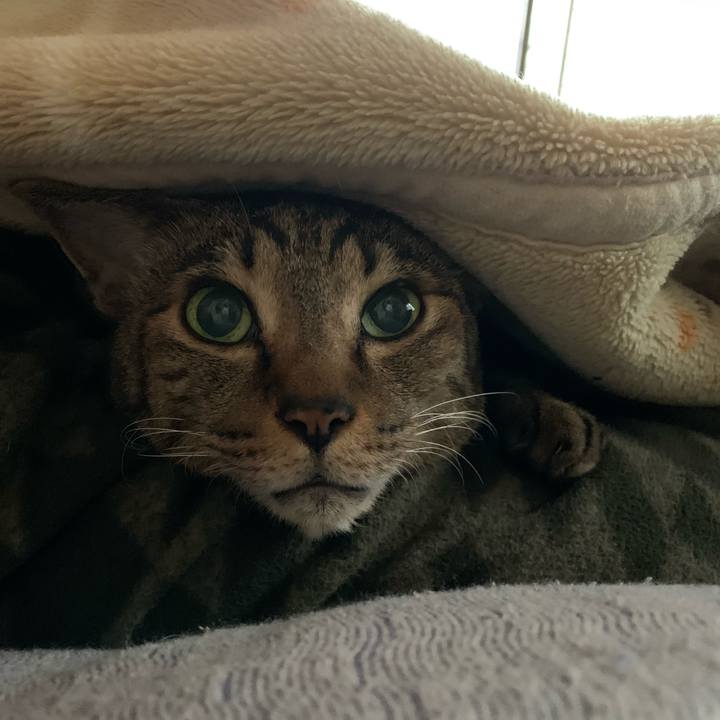 44401cdc 9ff6 4c72 ab44 4f5aa712ab4a 1578618644150