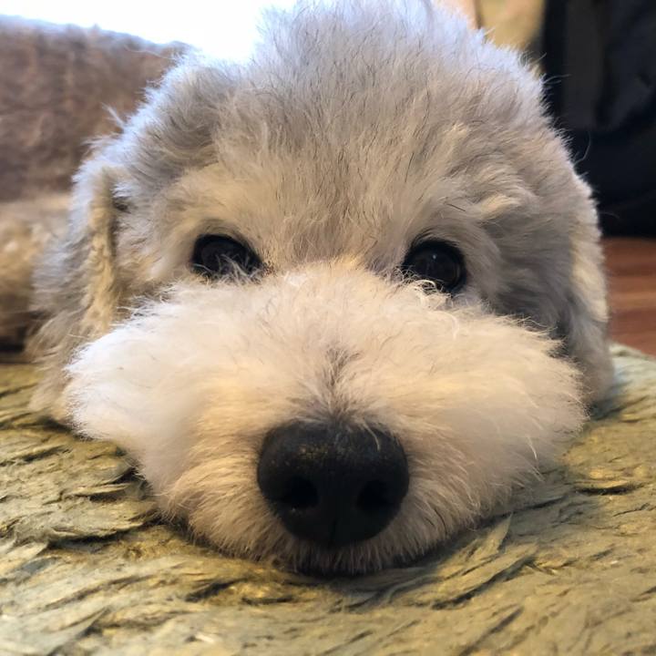 44405c0a e99a 4c86 9be5 b1935e8bb3cc 1534910352823