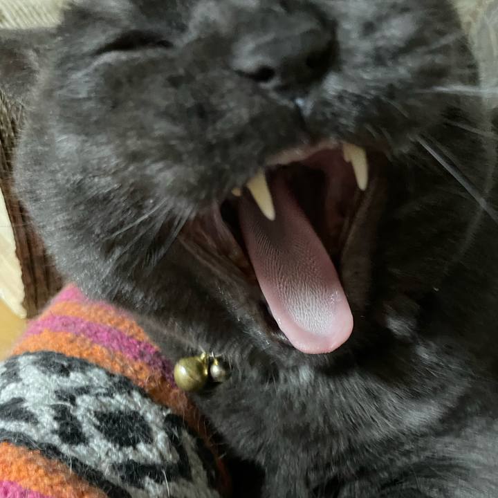 444067bf b6ed 4909 a878 665d3855869e 1768555151724