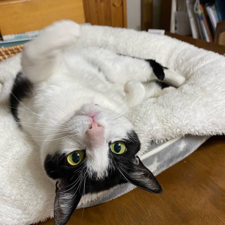 4440e10a c697 44ff bea9 7117c904cc51 1639019177298