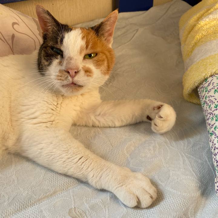 444108de bbba 488f b46a bb90d408cea8 1591625876360