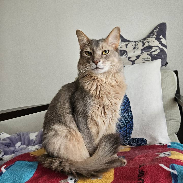 4441188a 2be1 4645 8138 a2f43bd50c49 1706486625311