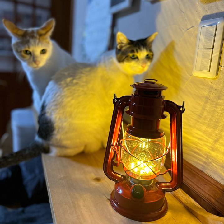 44413adb d046 404b b8f9 bb7f078dae99 1672405909251