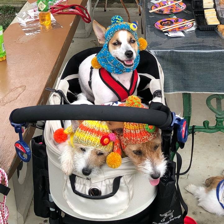 444176e7 2ce5 49c6 b587 fdf97eb845ec 1569227091189