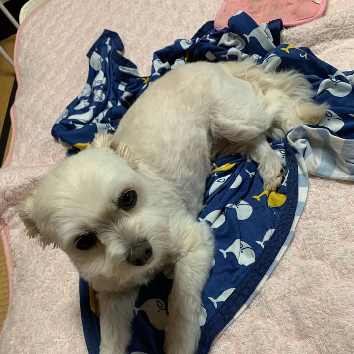 44417d18 e878 4d58 b2c2 5210e6862dc4 1623236092097