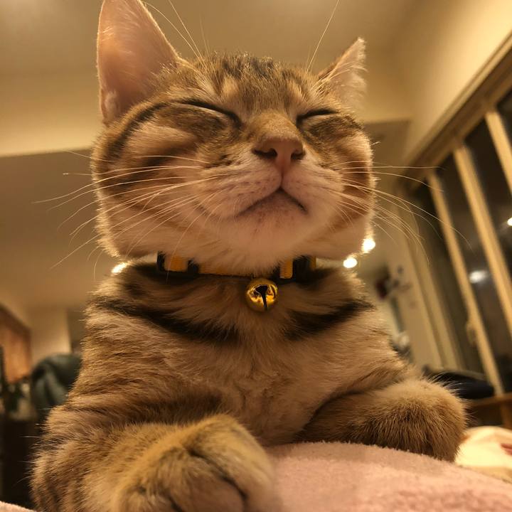 4441ea62 2dba 44fd a3df 92b2c213ad5a 1544081393105