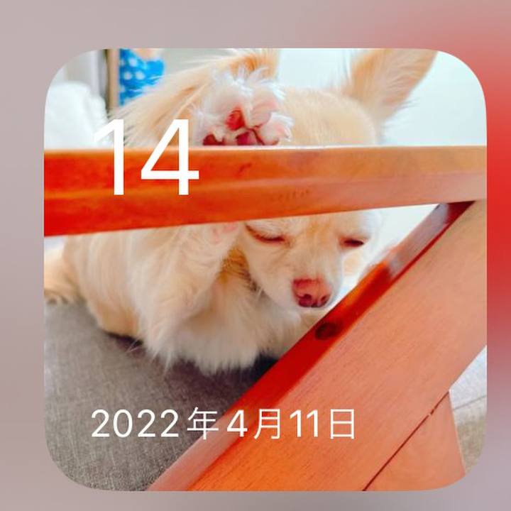 4441ed6c f3c8 4ade 91a0 42f7d59b3502 1713055366269