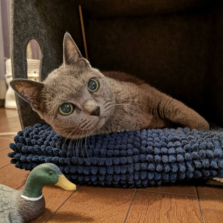 4441f83a 716c 40b7 b7ef 1c18d8494683 1552209049913