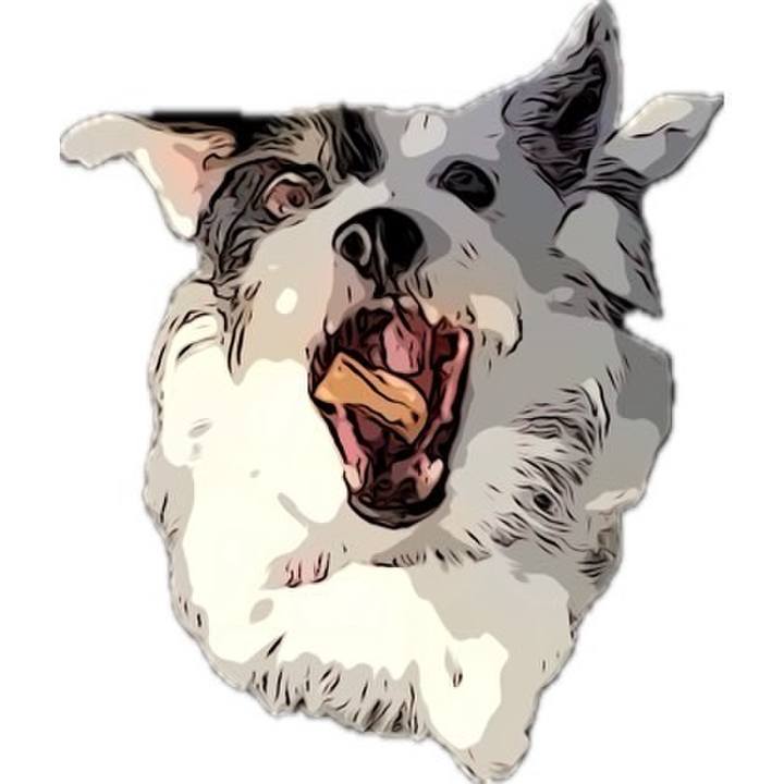 44425e85 258a 496a 8969 8c9fcc69d68f 1695643972932