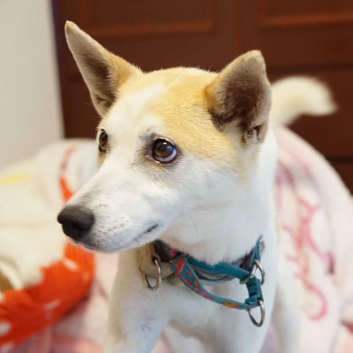 444274c5 ff96 4f7a 91ae 0c1d719ee954 1591455393894