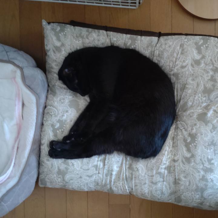 4442c0a8 848c 4cd3 8d30 7b571f8ec0a3 1735776595323