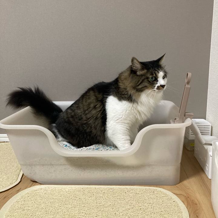 4442da18 9f8d 4967 9642 a3edf7013152 1695717231136