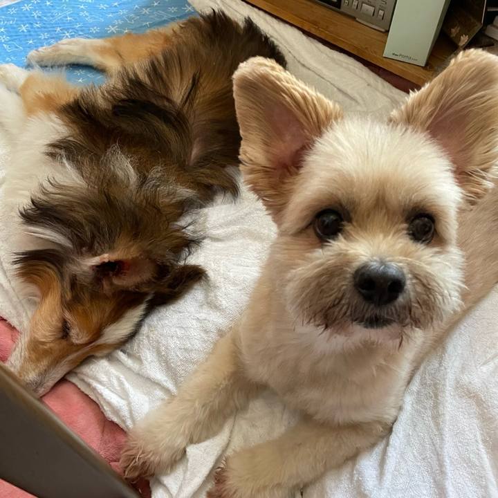 44434232 c87c 49b1 9bcc e8086c575092 1756896529667