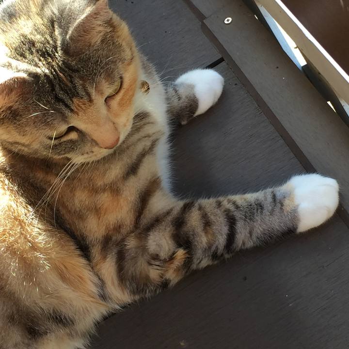 44434b26 15b4 4c67 9f55 16639755e9a6 1558774193829