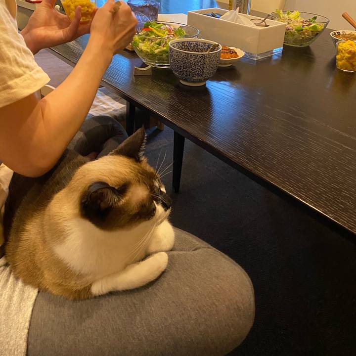 44437bba 4eaf 4c85 9e56 a40e0b1f25c9 1589945184920