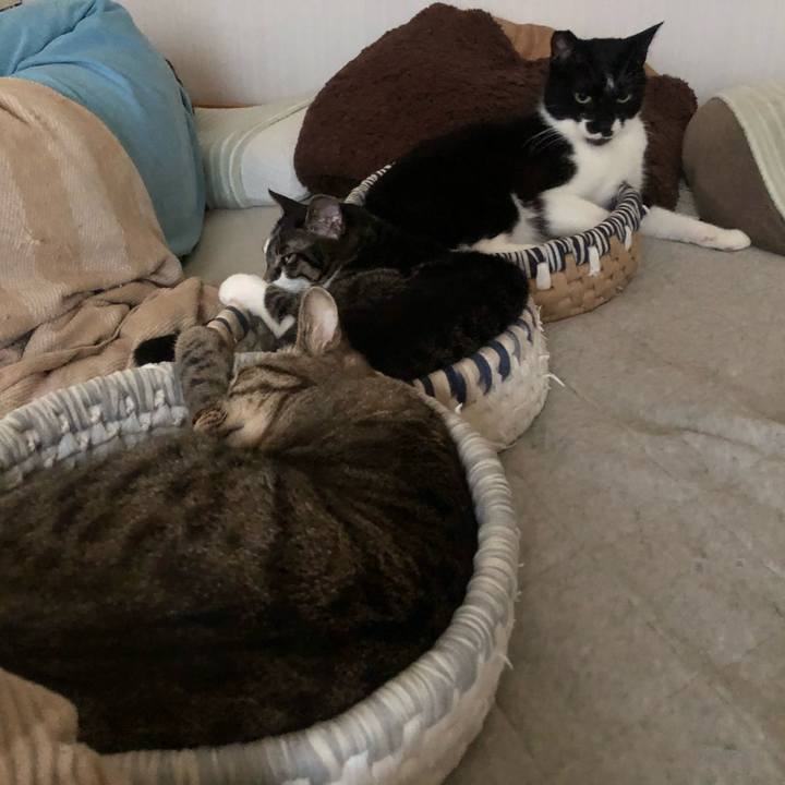 4443825d 6e8b 494e 8c36 6933dc3487f6 1622234563561