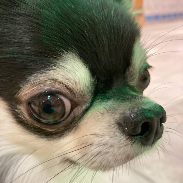 4443c23b 11de 4345 876c bf54a9c8f755 1635686074679