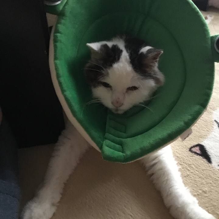 4443ec9d dbde 459b 9b89 631889e64af4 1576043828504