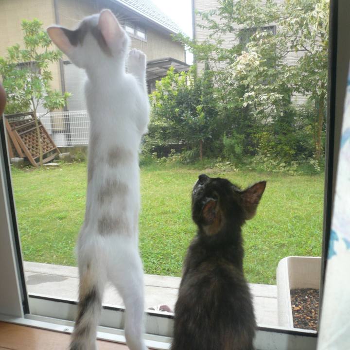 444404d3 384d 4884 8e33 a9c962a7c6bd 1758978723364