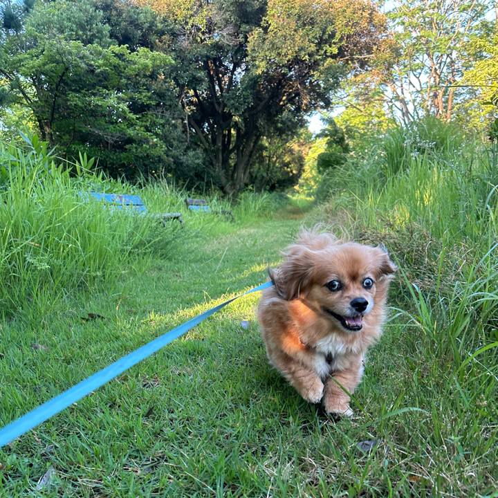 44441044 f6a0 40af 8aeb 640a0325d06d 1720127445064