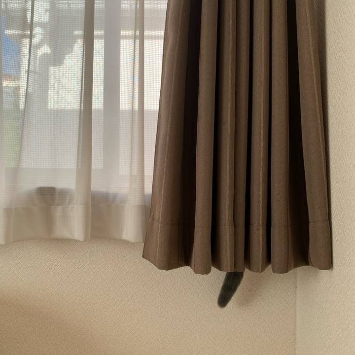 444422f1 4478 40f2 9440 30b40ce8c6f4 1598562092496