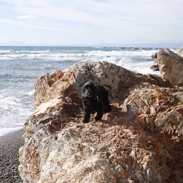 444429b7 1e41 40d5 8585 8e31275e8d3b 1514288216867