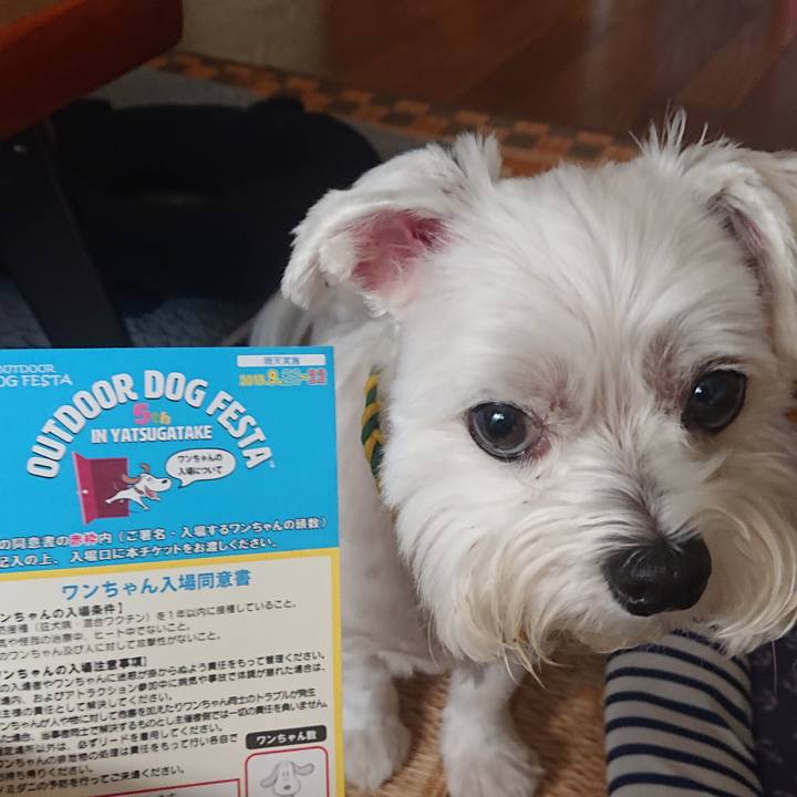 44442f1b aa8f 443f 8a62 196b6e48191c 1568096095693