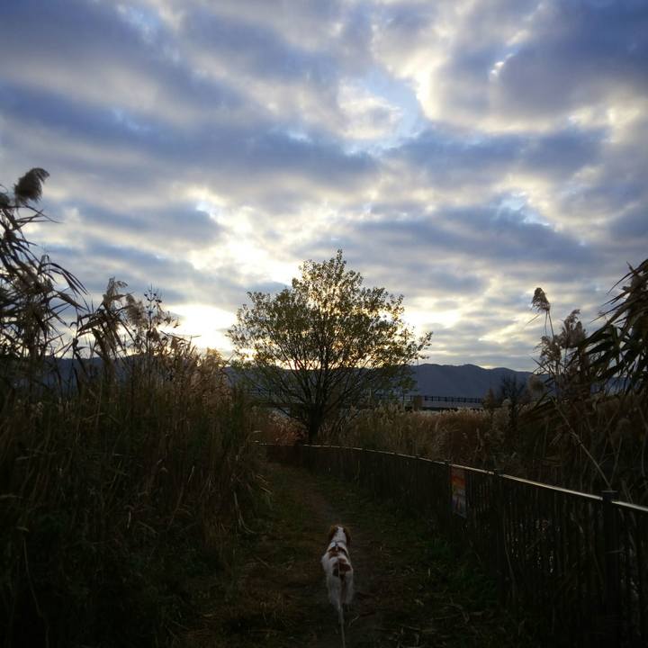 44443326 e3cb 44eb ab77 3be78371aa5d 1512865508496